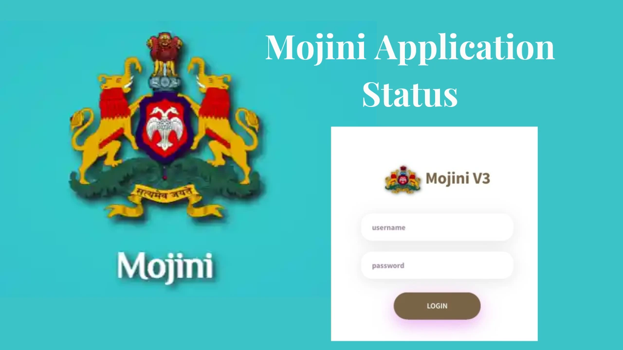 Mojini Application Status